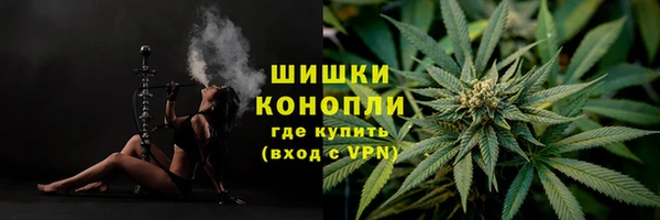 бошки Пестово