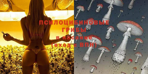 бошки Пестово