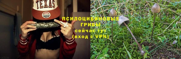 бошки Пестово