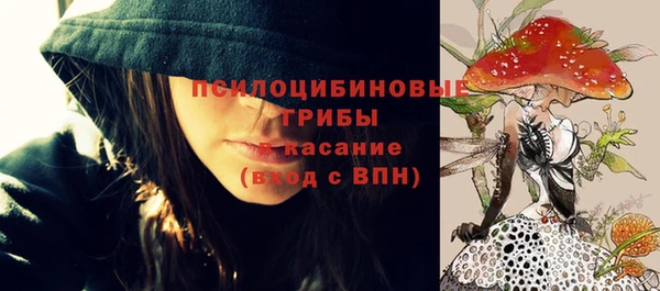 бошки Пестово