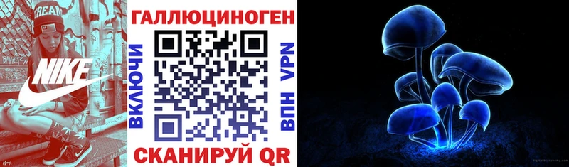 blacksprut ССЫЛКА  Полярный  Псилоцибиновые грибы Psilocybe 